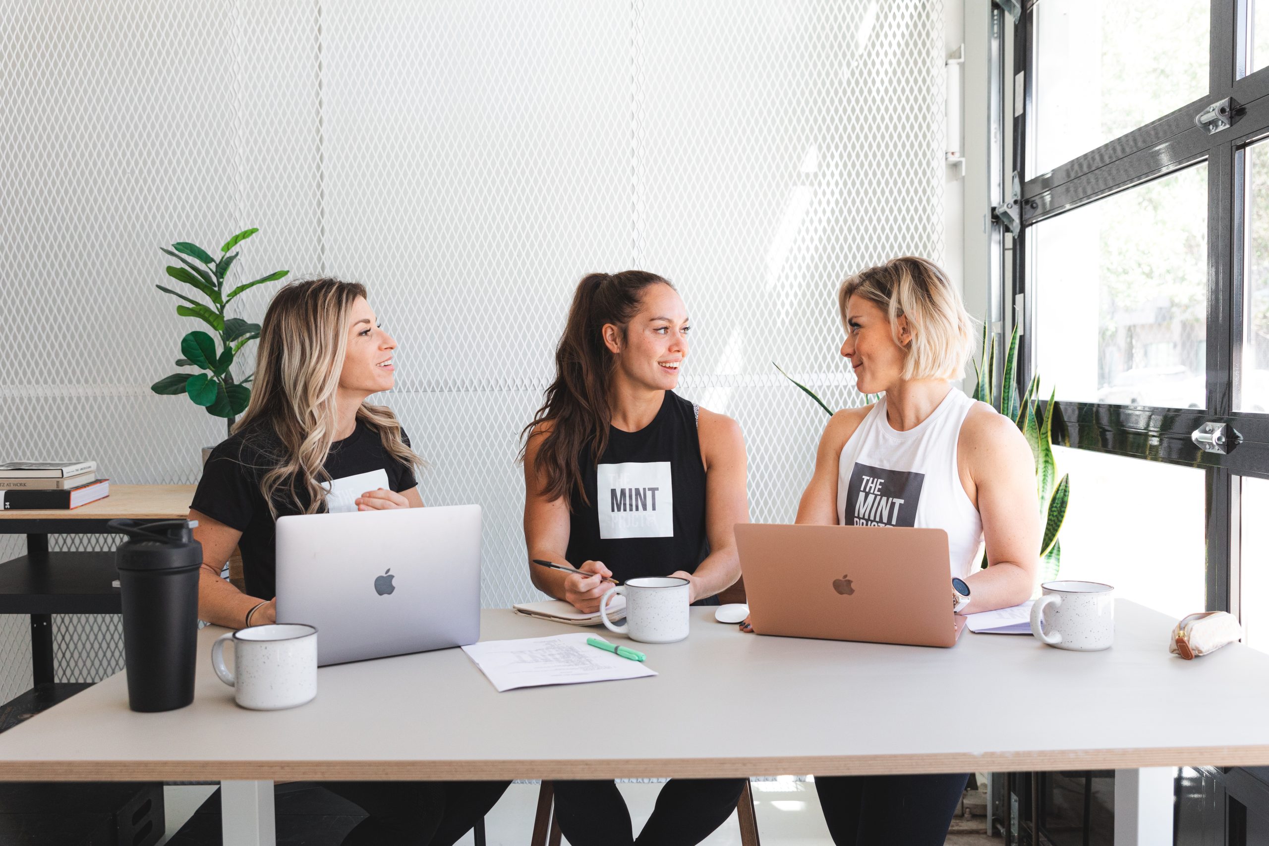 The MINT Prjct Trainer Certification Course The MINT Prjct Education